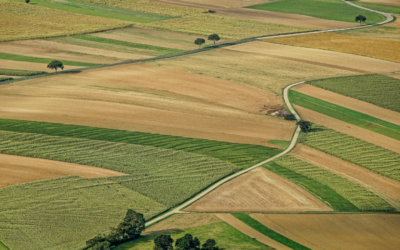 L’usage efficace et efficient de la réserve agricole pour accroitre notre autonomie stratégique