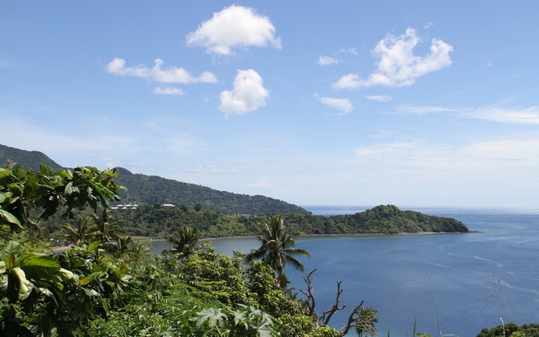 Accès à l’eau à Mayotte : des solutions européennes pour faire face à l’urgence qui ne sauraient être un prétexte à l’inaction coupable de l’État français
