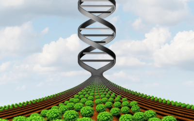 Nouvelles techniques génomiques: avis de l’ANSES sur l’absence de fondement scientifique sous-tendant l’équivalence avec les plantes non génétiquement modifiées