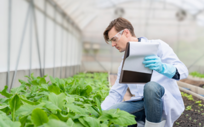 Régulation des nouveaux OGMs – le socialiste Christophe Clergeau lance un appel pour la traçabilité et l’étiquetage, pour préserver les droits des consommateurs et le secteur bio