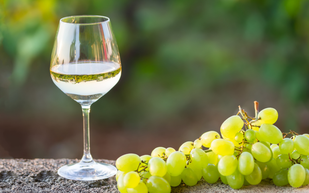 Nouveaux OGM : Alerte sur le vin et les appellations d’origine