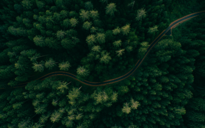 LE PARLEMENT EUROPÉEN A PRIS CONSCIENCE DE LA NÉCESSAIRE PROTECTION DE NOS FORÊTS EUROPÉENNES