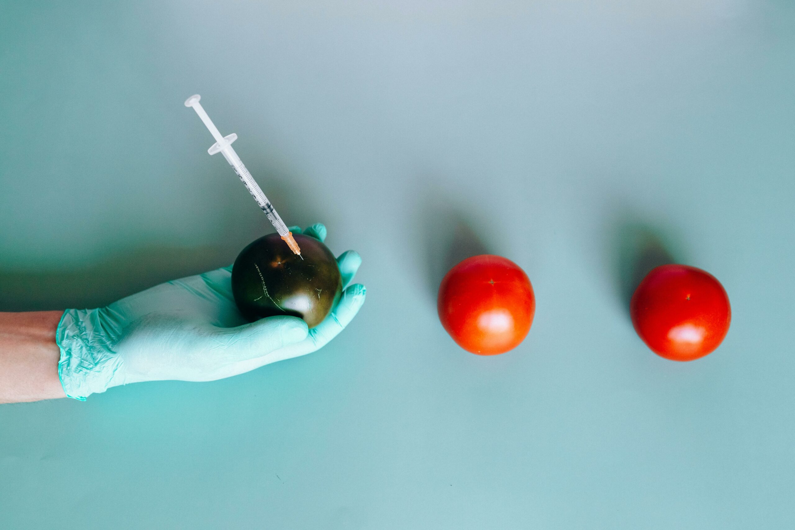 Limites maximales applicables aux résidus de pesticides dans les importations d’aliments pour animaux