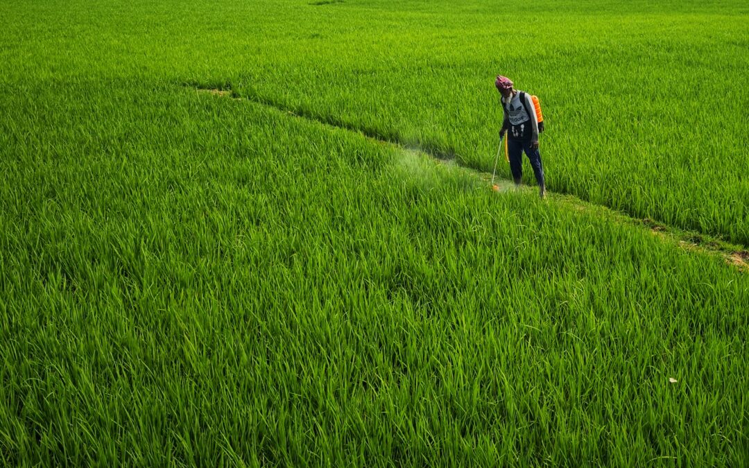 Progrès réalisés dans la mise à jour du document d’orientation relatif à l’évaluation comparative des pesticides prévue à l’article 50 du règlement (CE) nº 1107/2009.