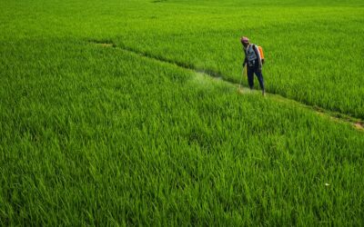 Progrès réalisés dans la mise à jour du document d’orientation relatif à l’évaluation comparative des pesticides prévue à l’article 50 du règlement (CE) nº 1107/2009.