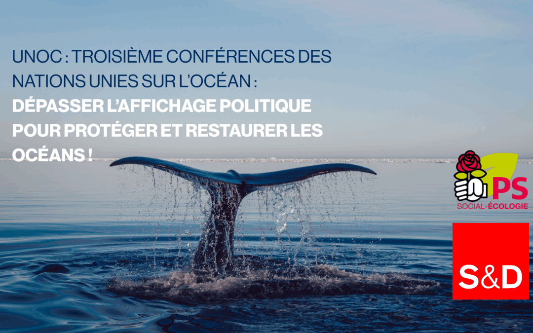 Troisième Conférence des Nations unies sur l’Océan : dépasser l’affichage politique pour réellement protéger et restaurer les océans !