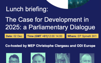 Plaidoyer pour le développement en 2025 : un dialogue parlementaire