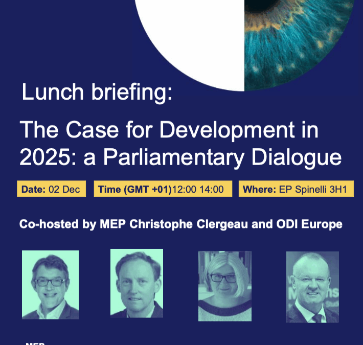 Plaidoyer pour le développement en 2025 : un dialogue parlementaire