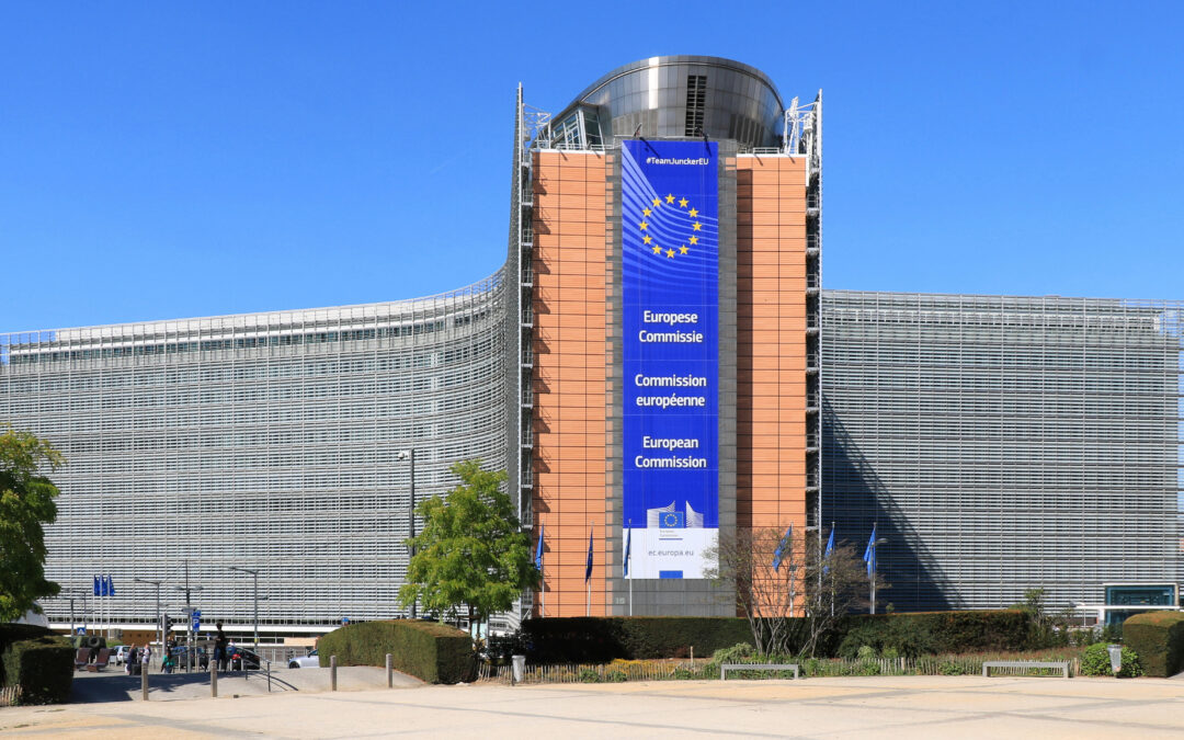 EU4Health : La Commission européenne confirme la suppression des subventions de fonctionnement aux ONGs de santé