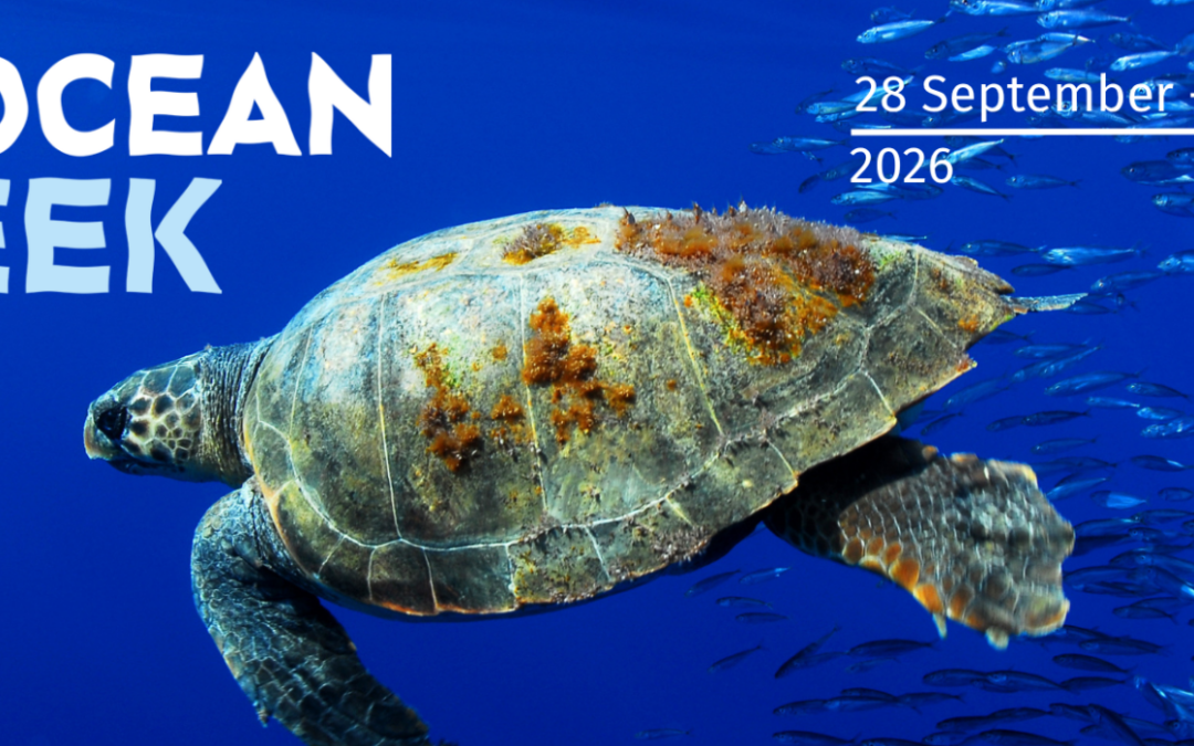 Semaine du 28 septembre au 2 octobre 2026 : Ocean Week à Bruxelles
