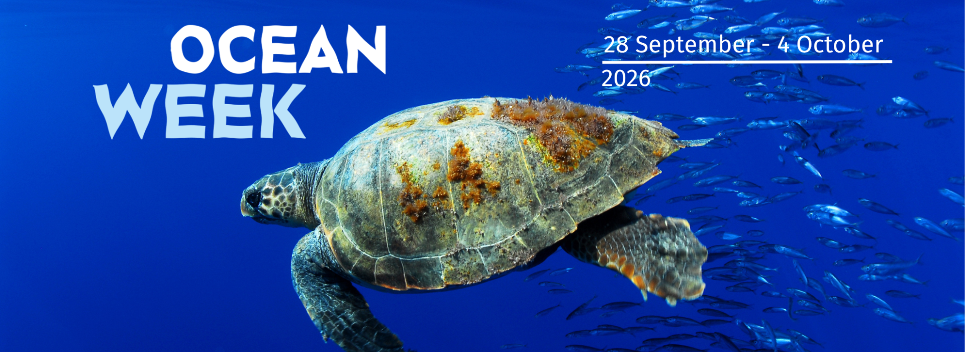 Ocean Week 2026